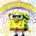 Spongecord